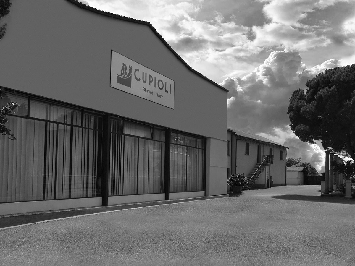 Cupioli Company History